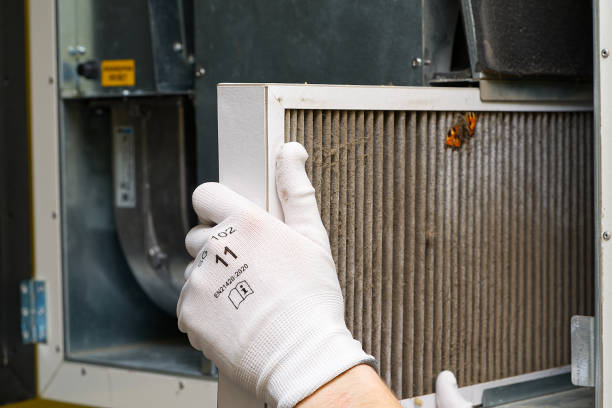 Best Air Duct Cleaning Near Me  in Frostproof, FL